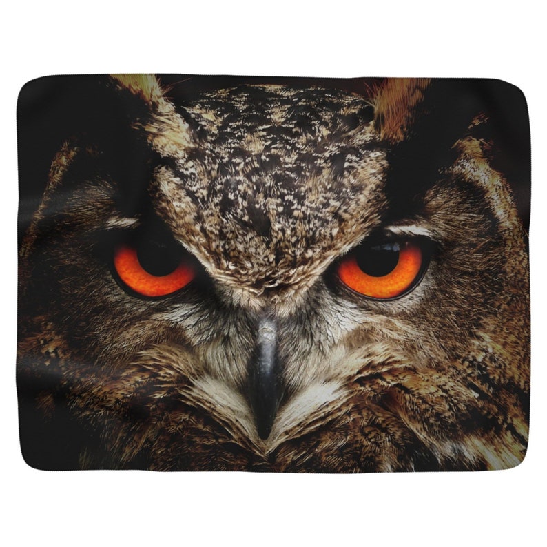 May include: Close-up of an owl's face with bright orange eyes. The owl's feathers are brown and black.