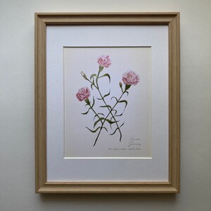 January | Carnation Botanical
