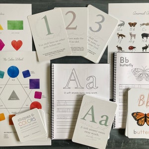 Primary Stage Bundle - Early Learning Kit - Early Learning Flash Cards - Werkboeken - Vormen - Kleuren - ABC -Dieren - Poster - PreK - Kinder