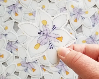 Fairy Iris or Fortnight Lily Sticker, Flower Decal