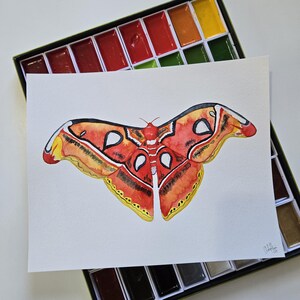 8x10 Aquarell Atlas Mottenmalerei