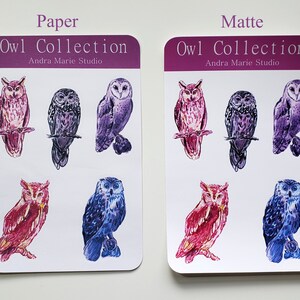 May include: Two sheets of stickers featuring a collection of owls. The stickers are printed on paper and matte finishes. The owls are illustrated in watercolor and feature a variety of colors, including pink, purple, blue, and gray. The text "Owl Collection" and "Andra Marie Studio" is printed on each sheet.