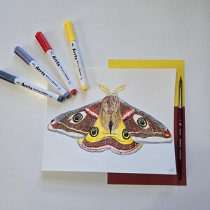 8x10 Imperator Moth Gemälde, Aquarell und Acrylkunst