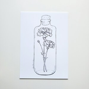 Gebotteld anjerinkt illustratie kunstdruk, bloem geboorte januari