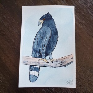 4x6 Black Hawk Eagle Watercolor Painting