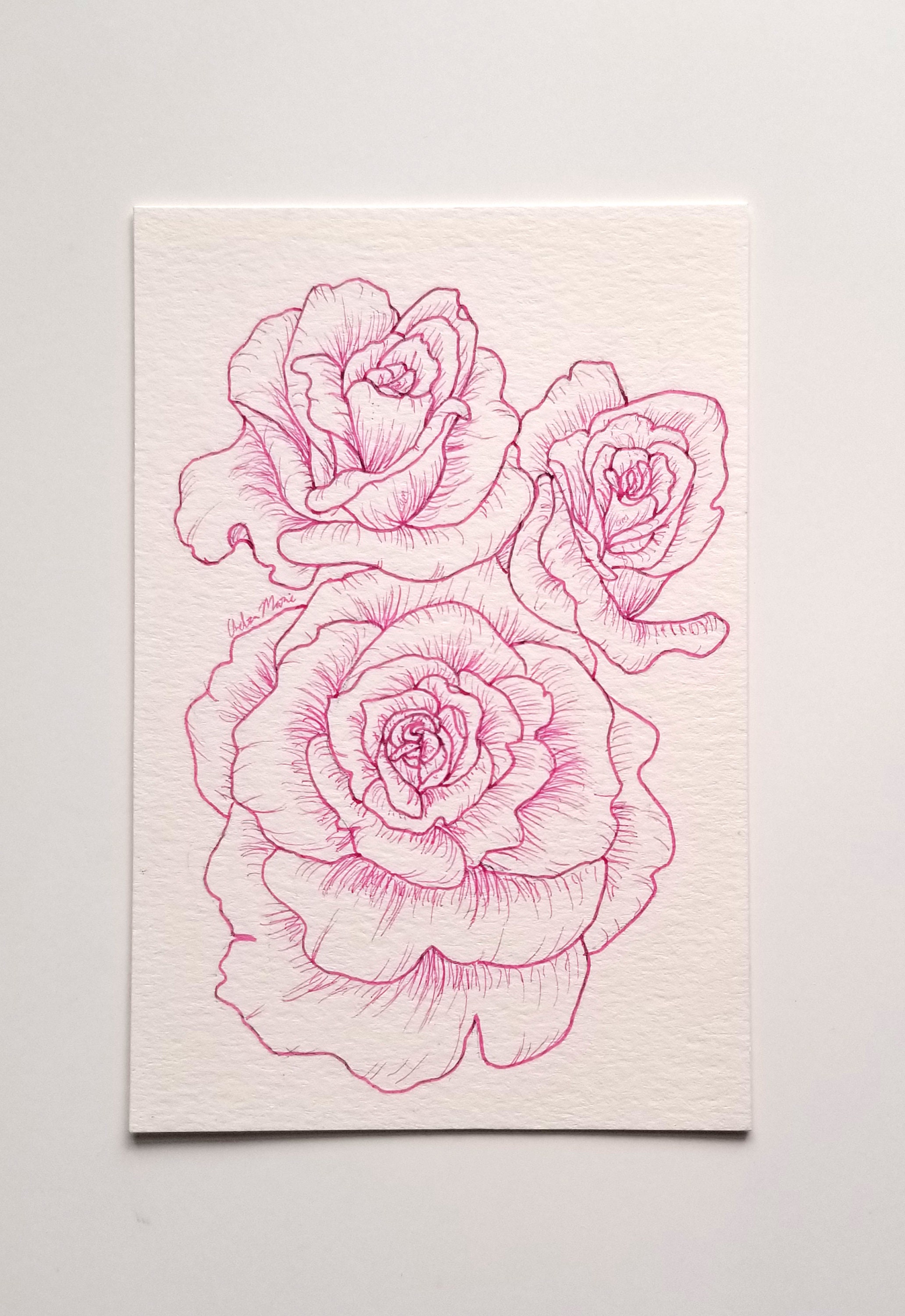 Pink Roses Original Line Art Drawing, 4x6 - Etsy