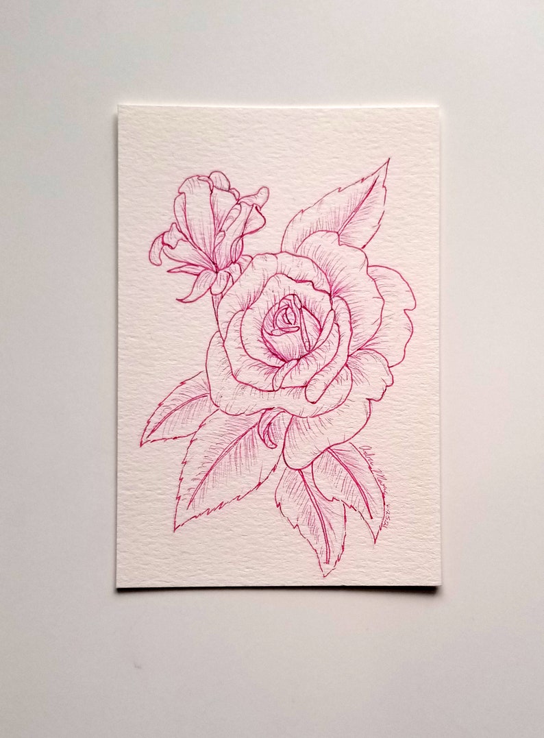 Pink Roses Original Line Art Drawing, 4x6 Pen Art - Etsy