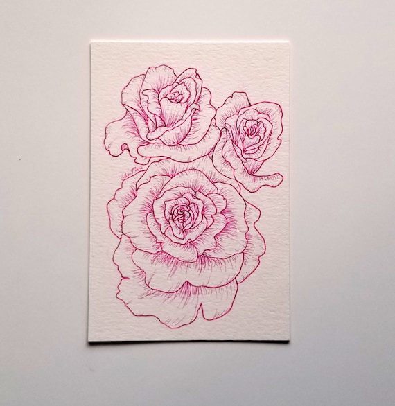 Pink Roses Original Line Art Drawing, 4x6 - Etsy Denmark