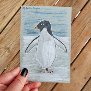 4x6 Adelie Penguin Drawing