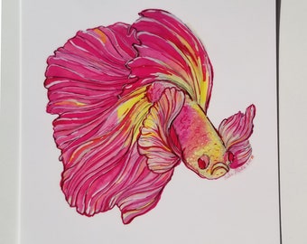 不機嫌そうなピンクのベタの魚 5x7 アートプリント