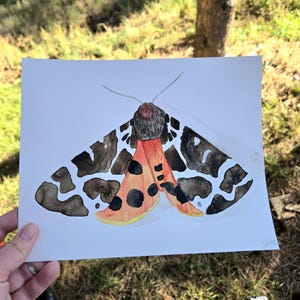 8x10 Aquarell Garten Tiger Moth Originale Gemälde