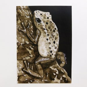 Ink Frog Print