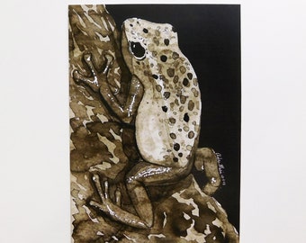 Frog Ink Painting - Etsy