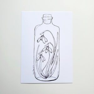 Bottled Snowdrops Flower Illustration Art Print, January Birth Flower