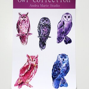 May include: Set of five watercolor owl stickers with purple, pink, and blue colors. The stickers feature the text "Owl Collection" and "Andra Marie Studio".