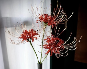 Red Spider Lily Sculpture, Handmade Resin Wire Flower, Higanbana Decor, Lycoris Radiata Gothic Art, Anime Room Gift