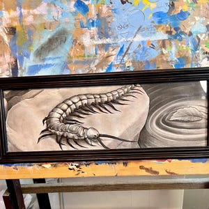 Centipede Charcoal Drawing: Black Wood Frame, Ready to Hang