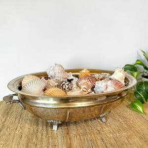 May include: A silver-toned metal bowl filled with a variety of seashells. The bowl has decorative handles and rests on small feet. The shells are in shades of white, tan, brown, and pink, creating a coastal theme.