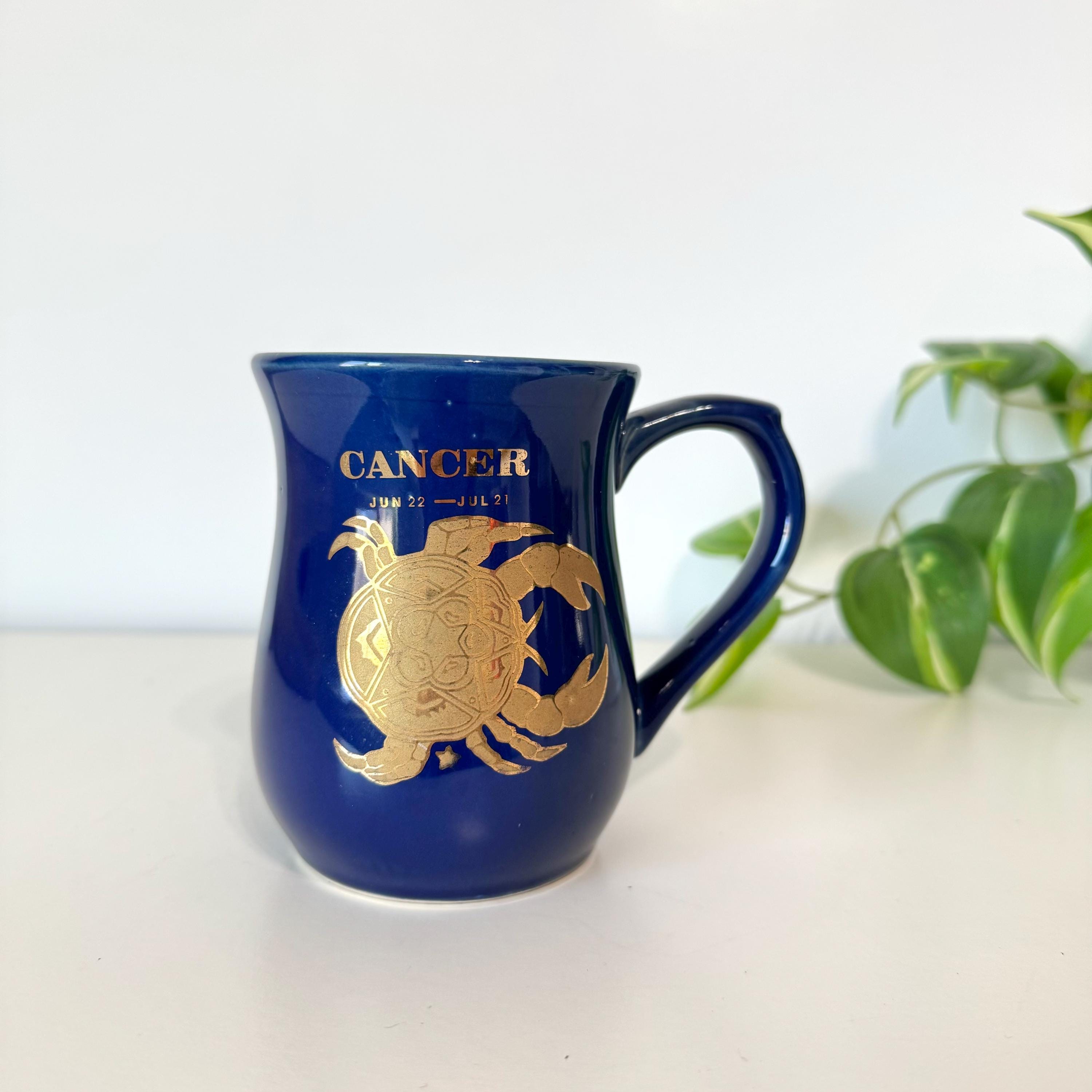 70s Zodiac Mug - Etsy