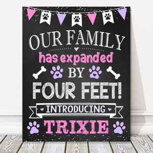 New Puppy Dog Announcement Chalkboard Sign, Our Family Has Expanded By Four Feet, Paws, Pink Reveal Photo Prop, DIGITAL FILE