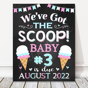 Printable Summer Got the Scoop 3rd Pregnancy Announcement Chalkboard Sign, Big Sister Brother, Baby Number 3 Reveal Photo Prop, DIGITAL FILE