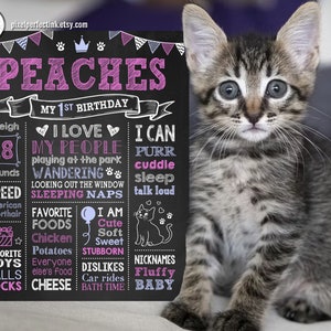 Cat Birthday Chalkboard Sign, Kitty Personalized Pet Party Decorations, Milestone Poster, 1st 2nd 3rd. Any Age, DIGITAL FILE