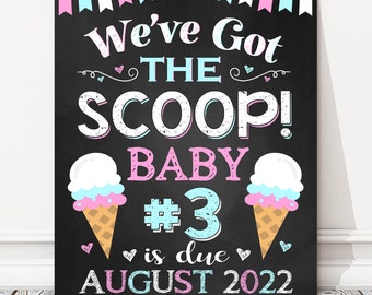 Printable Summer Got the Scoop 3rd Pregnancy Announcement Chalkboard Sign, Big Sister Brother, Baby Number 3 Reveal Photo Prop, DIGITAL FILE