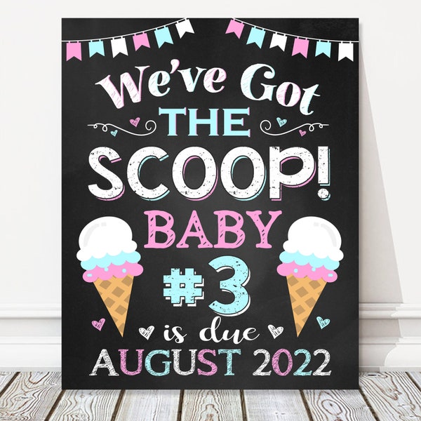 Printable Summer Got the Scoop 3rd Pregnancy Announcement Chalkboard Sign, Big Sister Brother, Baby Number 3 Reveal Photo Prop, DIGITAL FILE