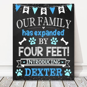 New Puppy Dog Announcement Chalkboard Sign, Our Family Has Expanded By Four Feet, Paws, Blue Reveal Photo Prop, DIGITAL FILE
