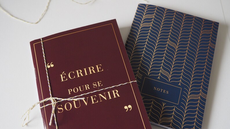 Lot de 2 carnets de notes