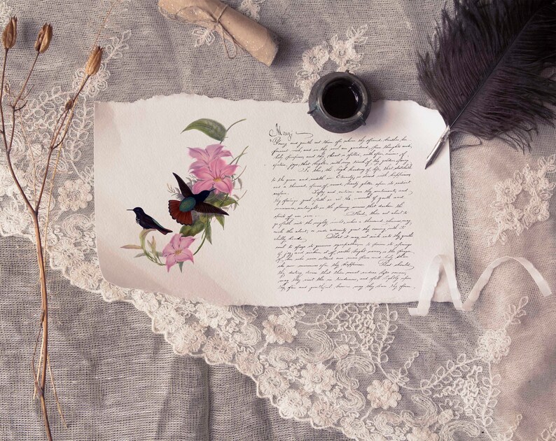 Antique Black Hooded Sunbeam Humming bird PNG transparent image old paper image ATC card Antique stock Romantic Shabby Nature Bird Plates