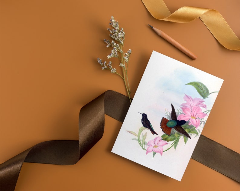 Antique Black Hooded Sunbeam Humming bird PNG transparent image old paper image ATC card Antique stock Romantic Shabby Nature Bird Plates