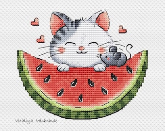 スイカ大サイズ！手作り額付き作品　title「プカプカ猫」 il_340x270.6169169615_koff.jpg