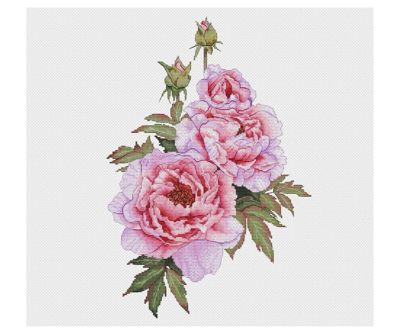 Peonies Cross Stitch Pattern Flower Bouquet Cross Stitch Chart - Etsy