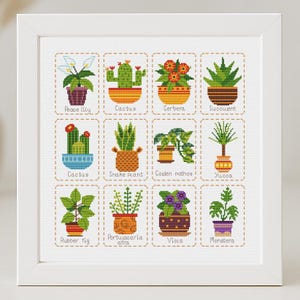 May include: A framed cross-stitch featuring twelve different potted plants, each labeled with its common name. The plants include a peace lily, cactus, cerbera, succulent, snake plant, golden pothos, yucca, rubber fig, portulacaria afra, viola, and monstera.