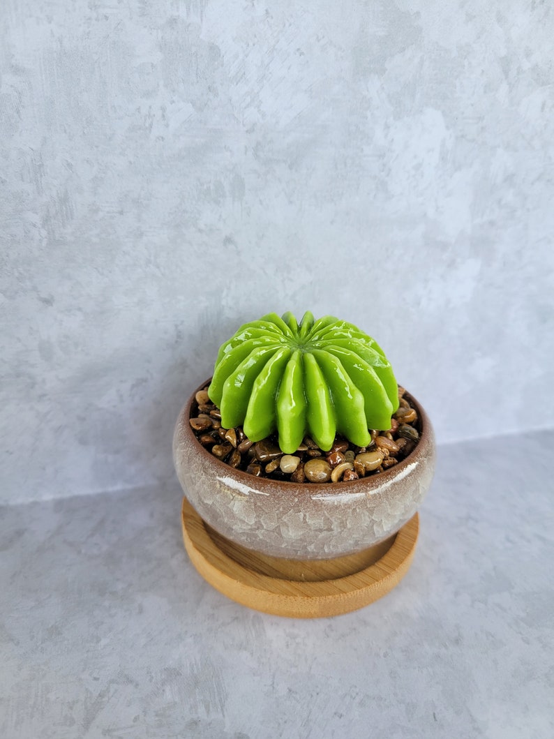 Fused glass succulent garden, glass succulents, office decor, gift for plant lover, plant you can't kill, handmade succulents, cactus garden image 10