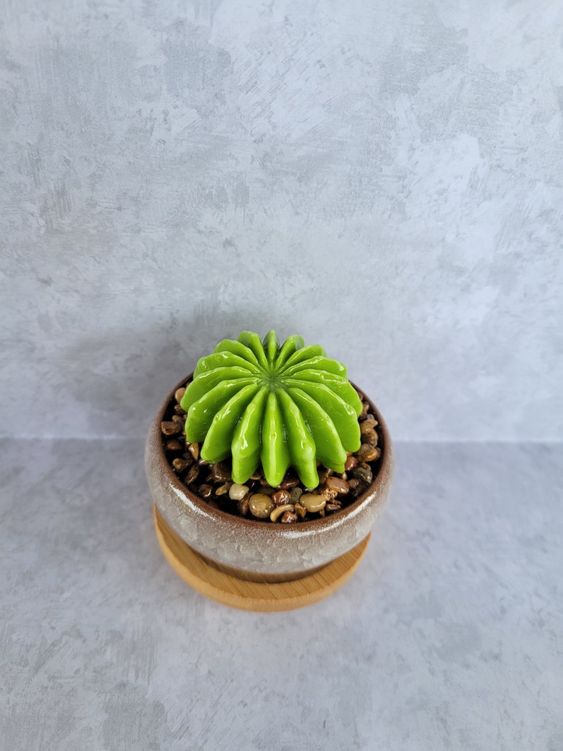 Fused glass succulent garden, glass succulents, office decor, gift for plant lover, plant you can't kill, handmade succulents, cactus garden image 2