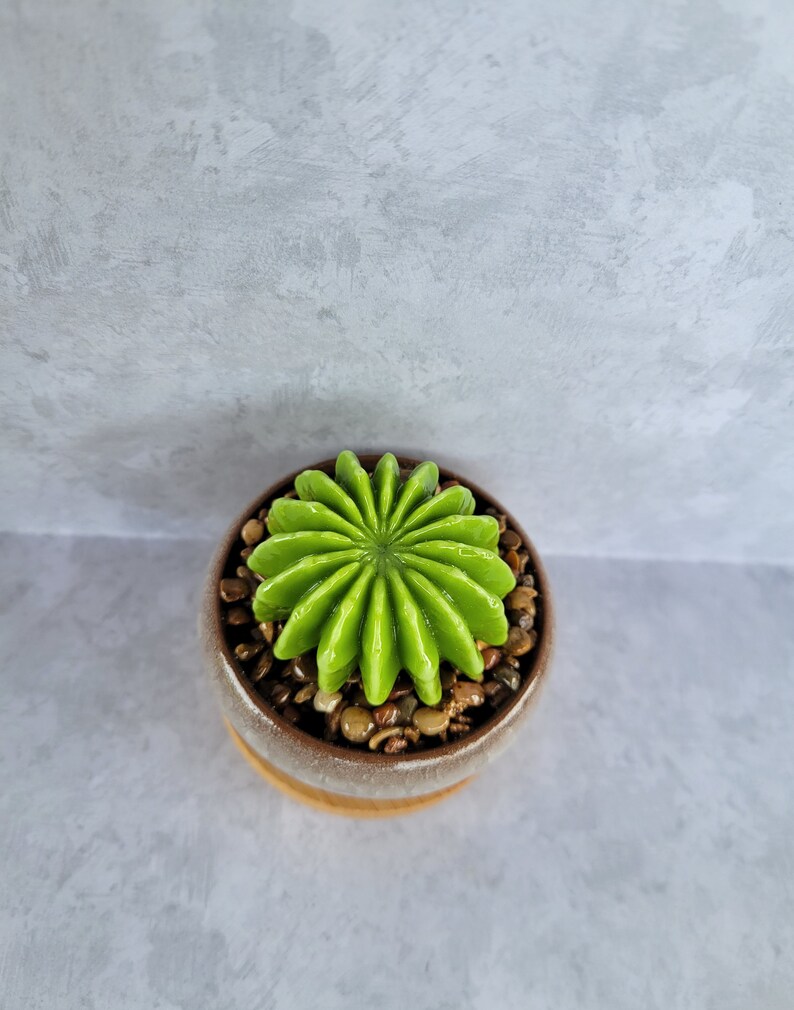 Fused glass succulent garden, glass succulents, office decor, gift for plant lover, plant you can't kill, handmade succulents, cactus garden image 3