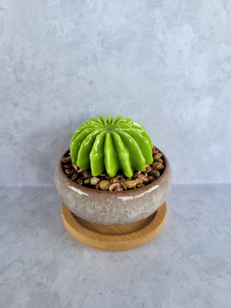 Fused glass succulent garden, glass succulents, office decor, gift for plant lover, plant you can't kill, handmade succulents, cactus garden image 5