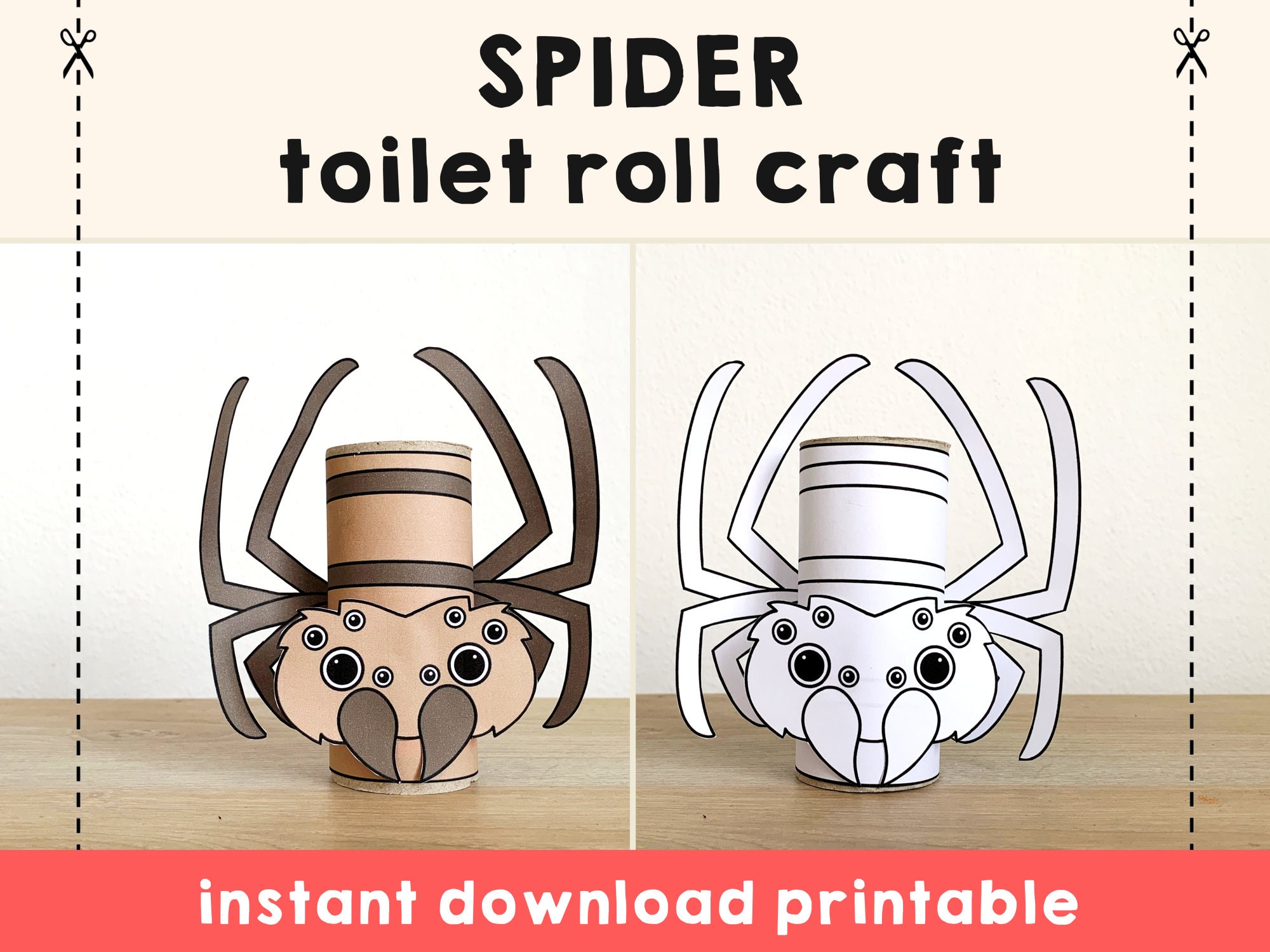 Toilet Paper Roll Spider