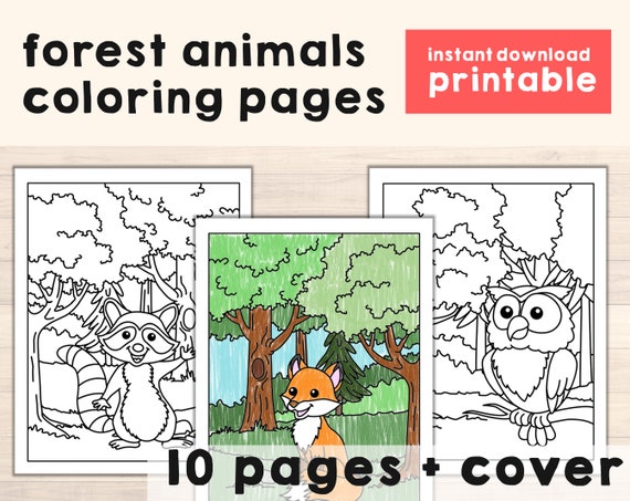 Forest Animals Coloring Pages  Woodland Theme Printable Art