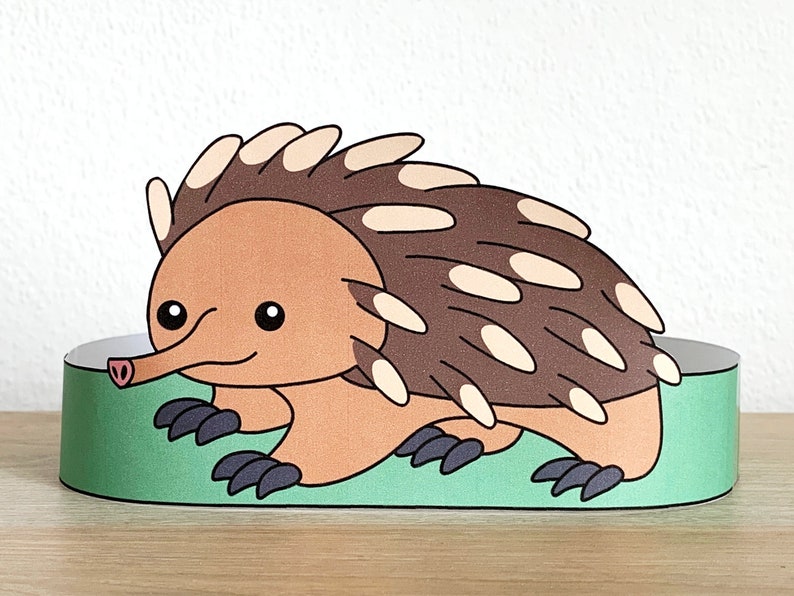 May include: A brown and white echidna with a pink nose, walking on a green background. The echidna is a small, spiny mammal native to Australia and New Guinea.