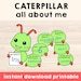 All About Me Caterpillar - Back to School Craft Activity for Kids ...