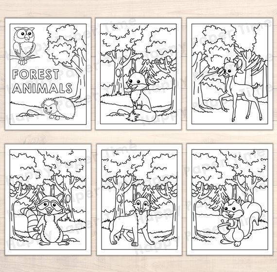 Forest Animals Coloring Page