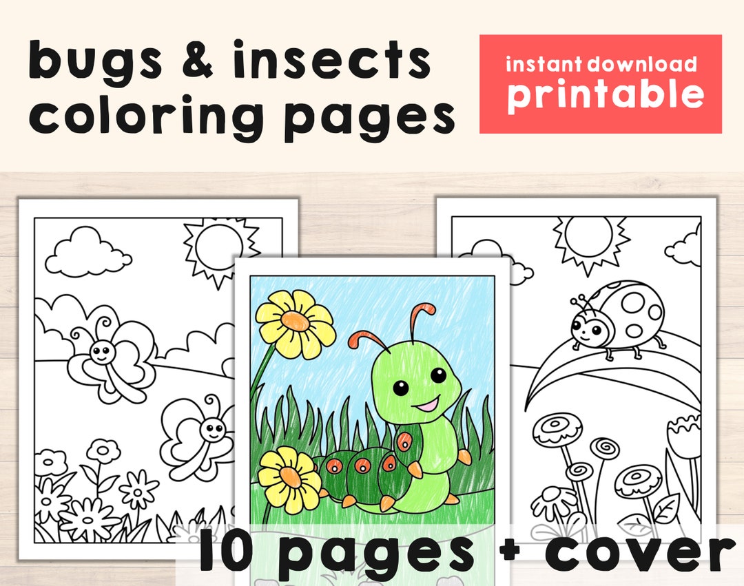 Bugs and Insects Coloring Pages  Animal Theme Printable Art