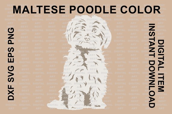 Maltais Caniche Svg Maltais Chien Maltipoo Svg Couches Svg Etsy