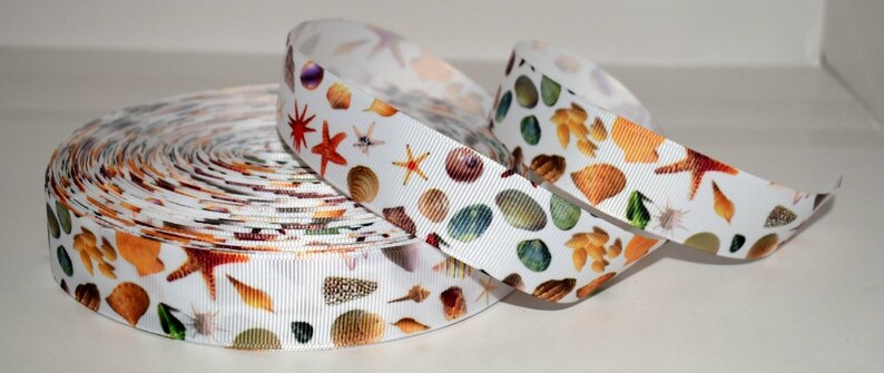 Shell Ribbons Seashells 1