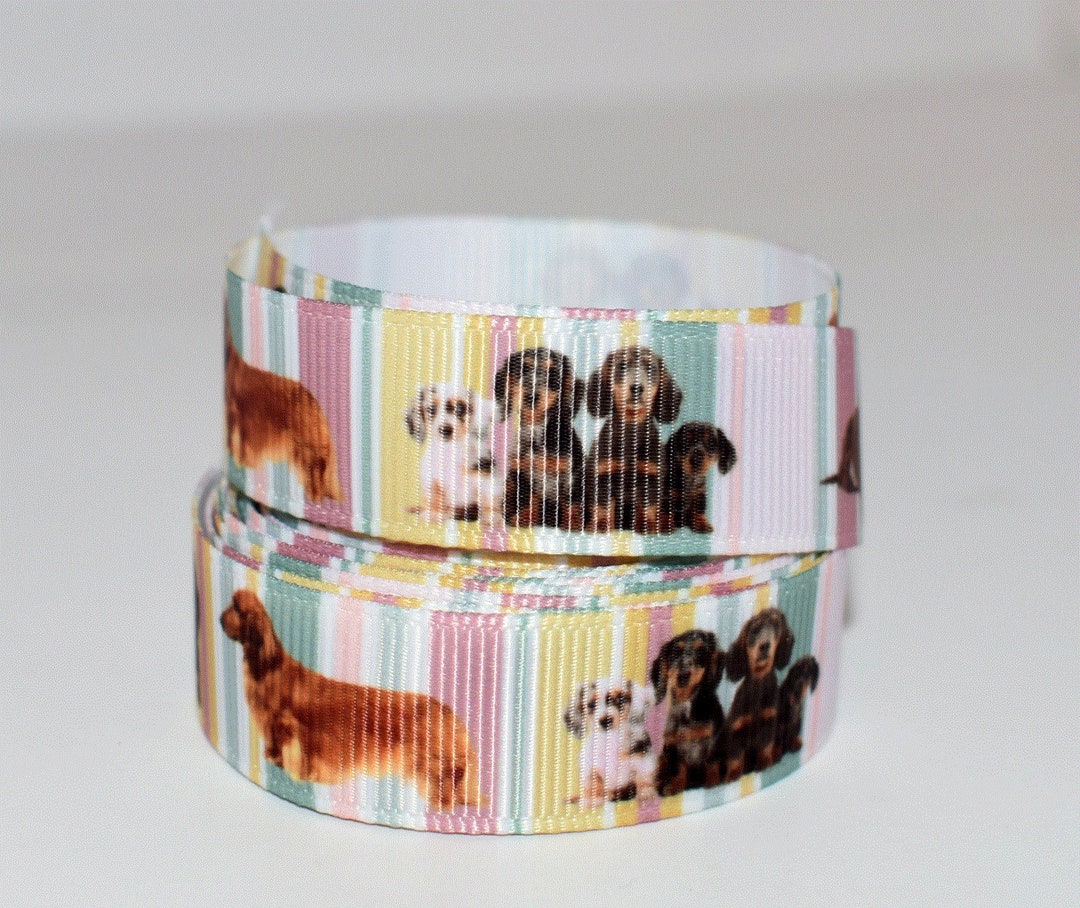 Dogpatch Ribbon Dachshund Puppy Dog 5/8