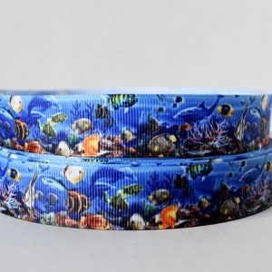 Ocean Animals Sea Reef 7/8
