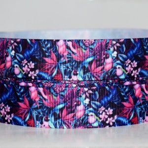 Fita de gorgurão Tropical Birds 7/8"